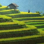 Mù Cang Chải là điểm đến hàng đầu năm 2020 theo CNBC Mù Cang Chải là điểm đến hàng đầu năm 2020 theo CNBC - Ảnh 1.