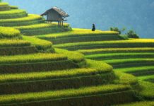 Mù Cang Chải là điểm đến hàng đầu năm 2020 theo CNBC Mù Cang Chải là điểm đến hàng đầu năm 2020 theo CNBC - Ảnh 1.