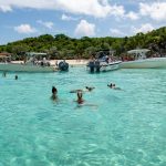 Hòn đảo nơi lợn biết bơi và xin ăn Hòn đảo nơi lợn biết bơi và xin ăn