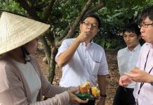 Đến Bà Rịa – Vũng Tàu du lịch nông nghiệp sạch Đến Bà Rịa - Vũng Tàu du lịch nông nghiệp sạch - Ảnh 1.