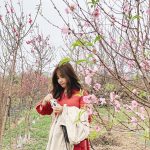 Tạo dáng cho bộ ảnh đầu năm tại 4 vườn hoa nổi tiếng ở Hà Nội Tao dang cho bo anh dau nam tai 4 vuon hoa noi tieng o Ha Noi hinh anh 1 thuhameomeo_80094987_497091830943174_3807121836603509404_n.jpg