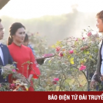 Ghé thăm trang trại hoa hồng cổ hồ Núi Mủn, Thái Nguyên