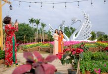 Du xuân Canh Tý, nhiều người thích thú với điểm “check-in” độc đáo gần Hà Nội Du xuân Canh Tý, nhiều người thích thú với điểm “check-in” độc đáo gần Hà Nội - Ảnh 1.