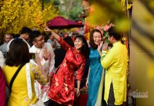 Con đường hoa mai rực rỡ sắc xuân ở Sài Gòn Con đường hoa mai rực rỡ sắc xuân ở Sài Gòn