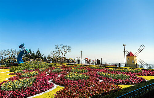 Thiên đường hoa tulip tại Sun World Ba Na Hills - 2