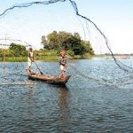 Búng nước… trời ban cho người miền Tây vùng châu thổ Cửu Long Người dân quăng chài bắt cá trên Búng Bình Thiên /// Ảnh: Đình Tuyển