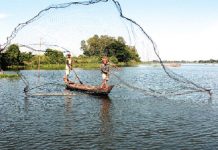 Búng nước… trời ban cho người miền Tây vùng châu thổ Cửu Long Người dân quăng chài bắt cá trên Búng Bình Thiên /// Ảnh: Đình Tuyển