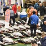 Cá ngừ 1,8 triệu USD bán trong phiên đấu giá đầu năm mới tại Nhật Bản Cá ngừ 1,8 triệu USD bán trong phiên đấu giá đầu năm mới tại Nhật Bản - Ảnh 1.