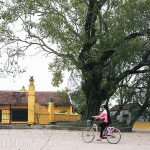 Khám phá ngôi làng 500 tuổi ở ngoại thành Hà Nội kham pha ngoi lang 500 tuoi o ngoai thanh ha noi hinh anh 1