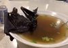 Đặc sản bị nghi gây ra đại dịch Kinh dị là nhận xét của nhiều du khách khi nhìn thấy món súp dơi. Ảnh: Twitter.