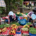 Nơi có kim chi ngon nhất Thành phố có 3 chợ chính và 4 khu vực bày bán thực phẩm đặc sản. Thực phẩm tươi sống được bày bán khắp thành phố. Ảnh: BBC.