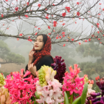 Đến Fansipan thưởng hoa, lễ Phật polyad