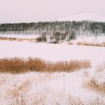Hokkaido – thiên đường tuyết trắng ở Nhật Bản Hokkaido - thien duong tuyet trang o Nhat Ban hinh anh 1 58Long_120.jpg