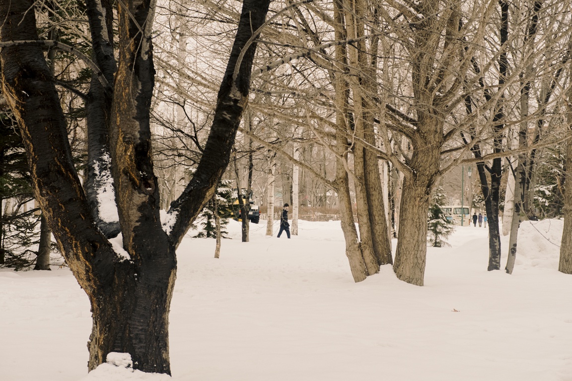 Hokkaido - thien duong tuyet trang o Nhat Ban hinh anh 7 58Long_83.jpg