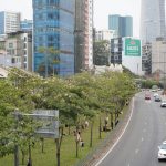 Giới trẻ Sài thành xếp hàng check-in cùng hoa kèn hồng Gioi tre Sai thanh xep hang check-in cung hoa ken hong hinh anh 1 84004392_185143786028969_6876121956609949696_n.jpg