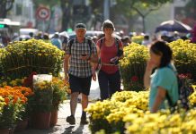 Biến động vì dịch virus Corona, khách quốc tế đến TP.HCM dịp Tết giảm Du khách quốc tế đến TP.HCM /// Độc Lập