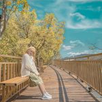 Đà Lạt xuất hiện con đường Hàn Quốc đốn tim giới trẻ Da Lat xuat hien con duong Han Quoc don tim gioi tre hinh anh 1 86489760_2549355602052453_4454471592415592448_o.jpg