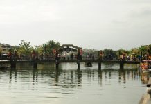 Phố cổ Hội An: khách Tây dập dìu ‘như nhiều năm trước’ Phố cổ Hội An: khách Tây dập dìu như nhiều năm trước - Ảnh 1.