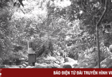 Bảo tồn giá trị lịch sử văn hóa của Am Dược