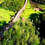 Kiệt tác giữa rừng Trà Sư Nhìn từ trên cao, cây cầu tre vạn bước tựa như con rồng khổng lồ trườn mình uốn lượn quanh rừng tràm Trà Sư /// Ảnh: Nguyễn Nhung