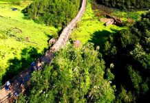 Kiệt tác giữa rừng Trà Sư Nhìn từ trên cao, cây cầu tre vạn bước tựa như con rồng khổng lồ trườn mình uốn lượn quanh rừng tràm Trà Sư /// Ảnh: Nguyễn Nhung