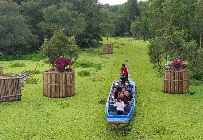 Ngoài trải nghiệm cầu tre, du khách còn có thể lướt tắc ráng len lỏi vào rừng tràm để ngắm chim, cò Ảnh: Nguyễn Nhung