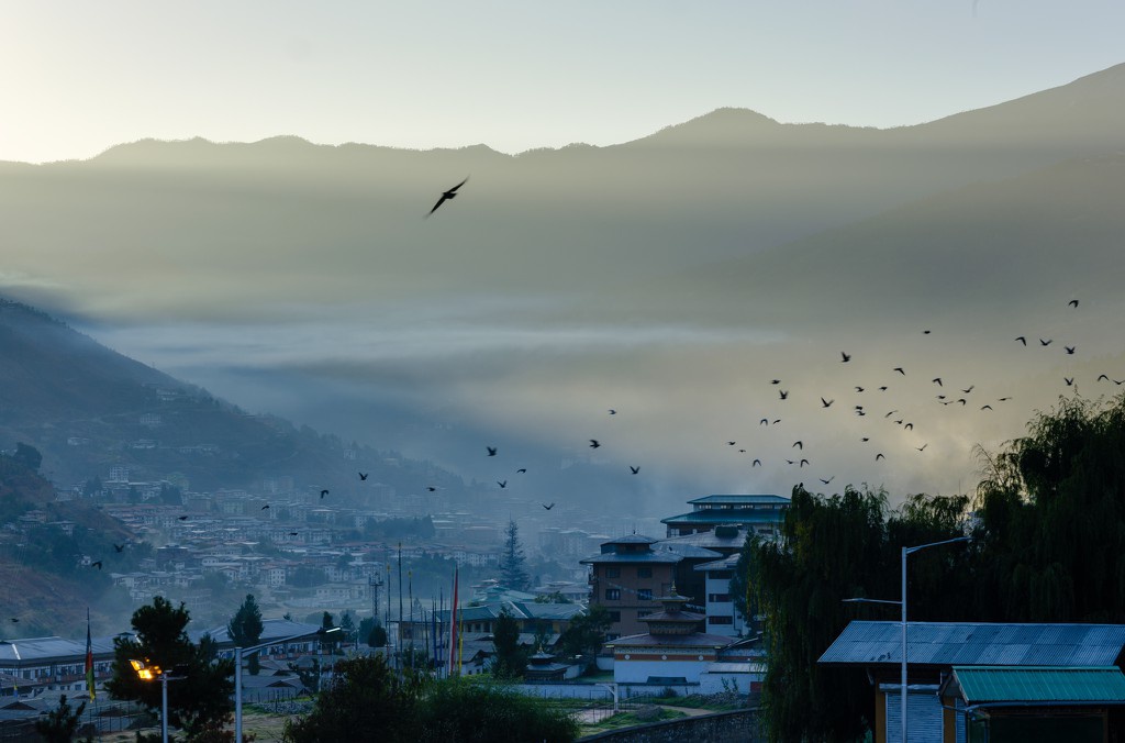 Kinh nghiem du lich tai dat nuoc hanh phuc Bhutan hinh anh 2 Anh_1_Nguyen_Thanh_Hai_1.jpg