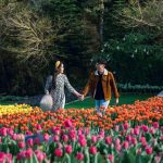 Sun World – điểm đến lý tưởng cho các cặp đôi mùa tình yêu Sun World - diem den ly tuong cho cac cap doi mua tinh yeu hinh anh 1 anh_1_Valentine_SW.jpg