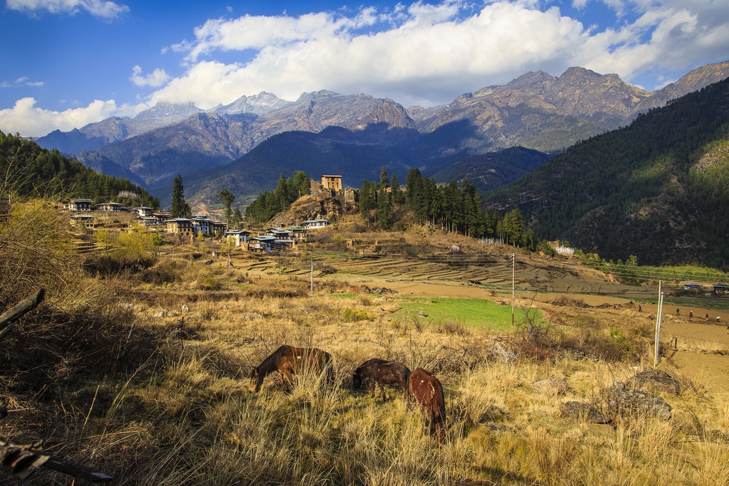 Kinh nghiem du lich tai dat nuoc hanh phuc Bhutan hinh anh 10 Anh_9_Nguyen_Thanh_Hai_1_.jpg