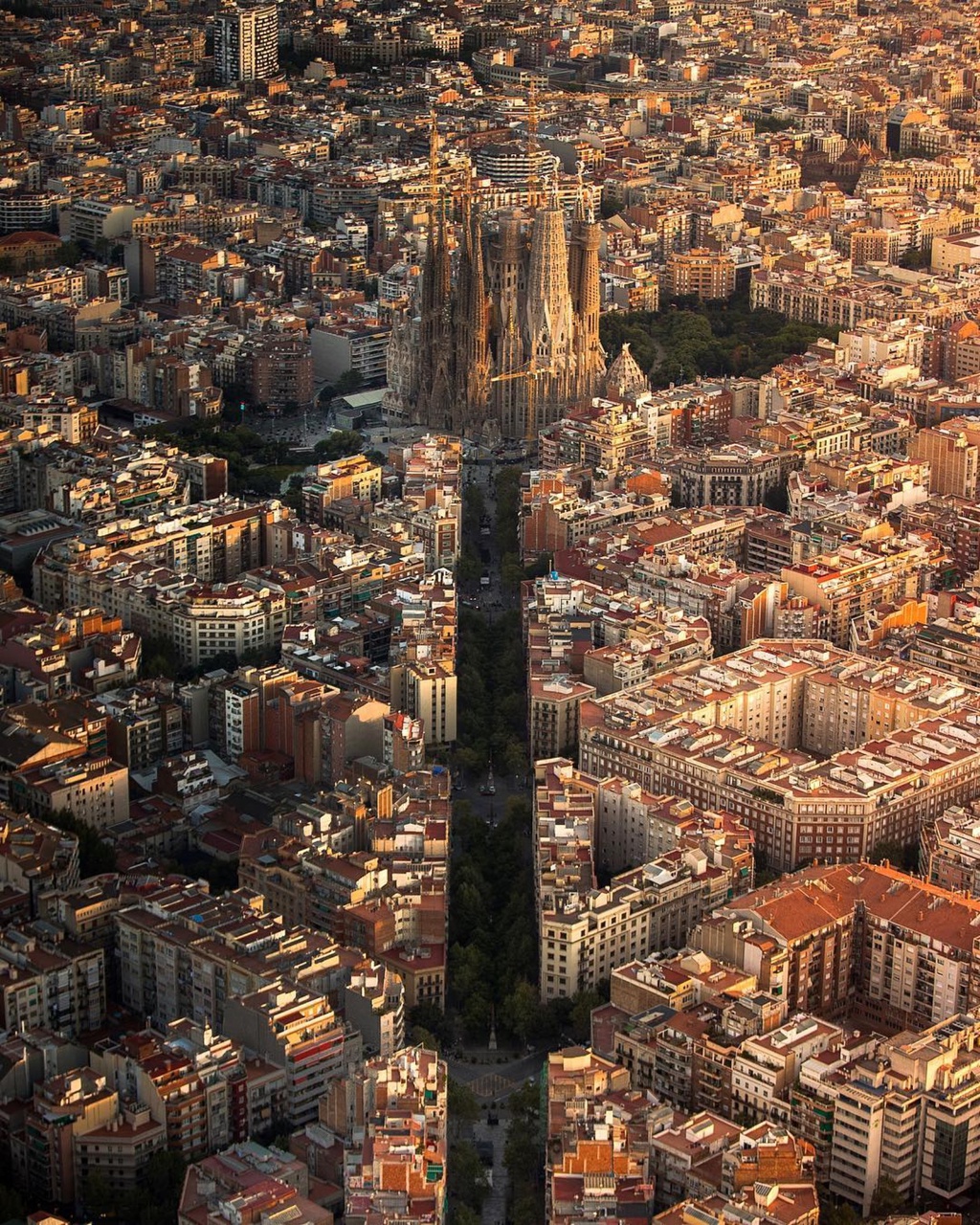 Dan sao ‘Ky sinh trung’ tung du lich o dau? hinh anh 6 Barcelona_Architecture_Virginia_Duran_6_Sagrada_Familia.jpg