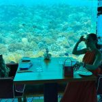 Chồng Đoan Trang khóc khi được vợ mừng sinh nhật dưới đáy biển Chồng Đoan Trang khóc khi được vợ mừng sinh nhật dưới đáy biển