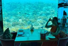 Chồng Đoan Trang khóc khi được vợ mừng sinh nhật dưới đáy biển Chồng Đoan Trang khóc khi được vợ mừng sinh nhật dưới đáy biển