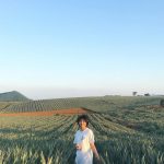 Ninh Bình đẹp ai chẳng biết, nhưng mấy ai biết được những thời điểm Ninh Bình đẹp nhất trong năm