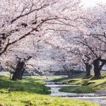 Những điểm đến lý tưởng từ tháng 3 Những điểm đến lý tưởng từ tháng 3