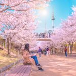 Mùa Valentine đến 5 điểm hẹn hò lãng mạn tại Hàn Quốc năm 2020 Rừng Seoul.