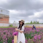 Cánh đồng thạch thảo tím ở Bà Rịa thu hút giới trẻ Canh dong thach thao tim o Ba Ria thu hut gioi tre hinh anh 1 faceu_1581820009407.jpeg