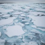 Đến mùa, vùng biển Hokkaido lại vắng bóng những tảng băng trôi Đến mùa, vùng biển Hokkaido lại vắng bóng những tảng băng trôi - Ảnh 1.