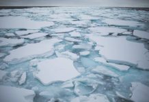 Đến mùa, vùng biển Hokkaido lại vắng bóng những tảng băng trôi Đến mùa, vùng biển Hokkaido lại vắng bóng những tảng băng trôi - Ảnh 1.