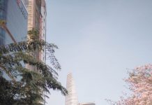 Kèn hồng nở rộ sau Tết Nguyên đán tại TP.HCM Ken hong no ro sau Tet Nguyen dan tai TP.HCM hinh anh 1 hong1.jpg