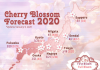 Đi ngắm hoa anh đào mùa xuân Nhật Bản Lịch dự kiến hoa anh đào nở được cập nhật vào 9.1.2020.