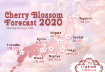 Đi ngắm hoa anh đào mùa xuân Nhật Bản Lịch dự kiến hoa anh đào nở được cập nhật vào 9.1.2020.