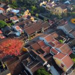 Hội An mùa cây bàng lá đỏ Hội An mùa cây bàng lá đỏ