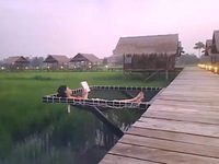 Khám phá Nam Ngum – Hồ nước ngọt lớn nhất tại Lào Thưởng thức món ngon trên đồng lúa: Mô hình hút khách tại Lào