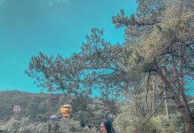 Đà Lạt xuất hiện khu rừng khinh khí cầu lên hình tuyệt đẹp Da Lat xuat hien khu rung khinh khi cau len hinh tuyet dep hinh anh 1 muoimuoine_.jpg