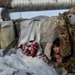 Sống sót ở nơi -22 độ C Sống sót ở nơi -22 độ C