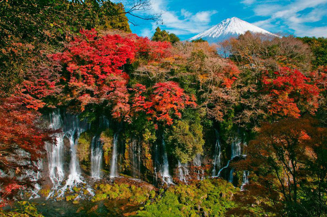 Khám phá vẻ đẹp nên thơ của Shizouka - quê hương núi Phú Sĩ - Ảnh 3.