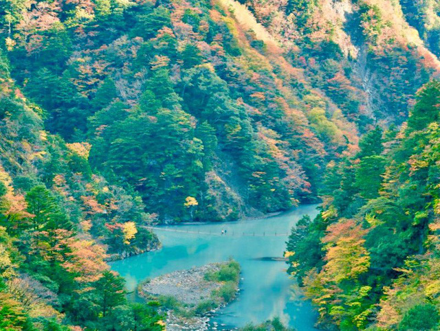 Khám phá vẻ đẹp nên thơ của Shizouka - quê hương núi Phú Sĩ - Ảnh 4.