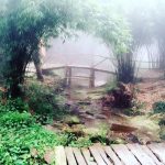 Cứ ngỡ “nhẵn mặt” Tam Đảo cho đến khi nghe những cái tên này