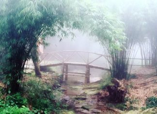 Cứ ngỡ “nhẵn mặt” Tam Đảo cho đến khi nghe những cái tên này