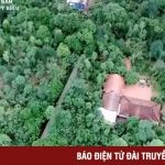 Thủy Biều – Không gian xanh tươi của Huế